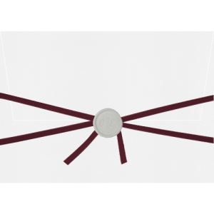 Envelope Aba Reta Horizontal Carol