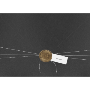 Envelope Bico Horizontal Isabela