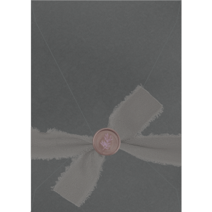 Envelope Bico Vertical Ana