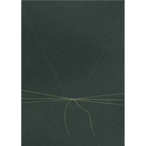 Envelope Bico Vertical Helena