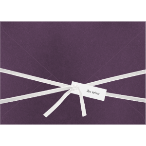 Envelope Bico Horizontal Maria Clara